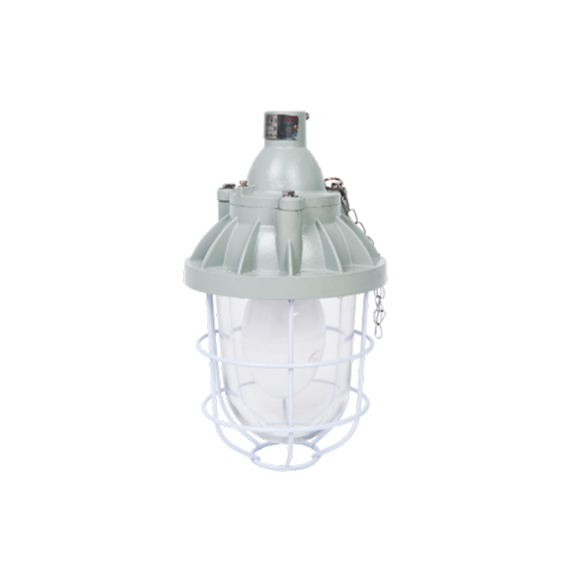 D□52 series explosion-proof lamp
