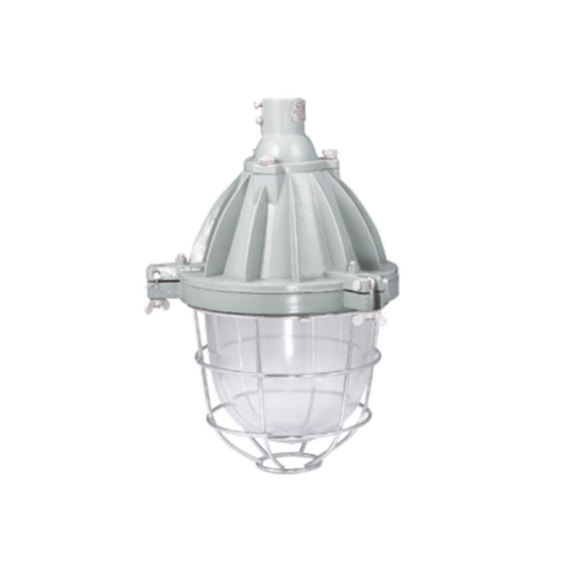 DL53-I series explosion-proof lamp