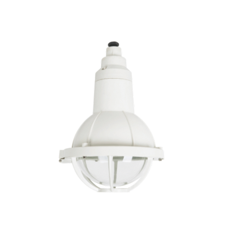 N-port 57S series explosion-proof and anti-corrosion lamp