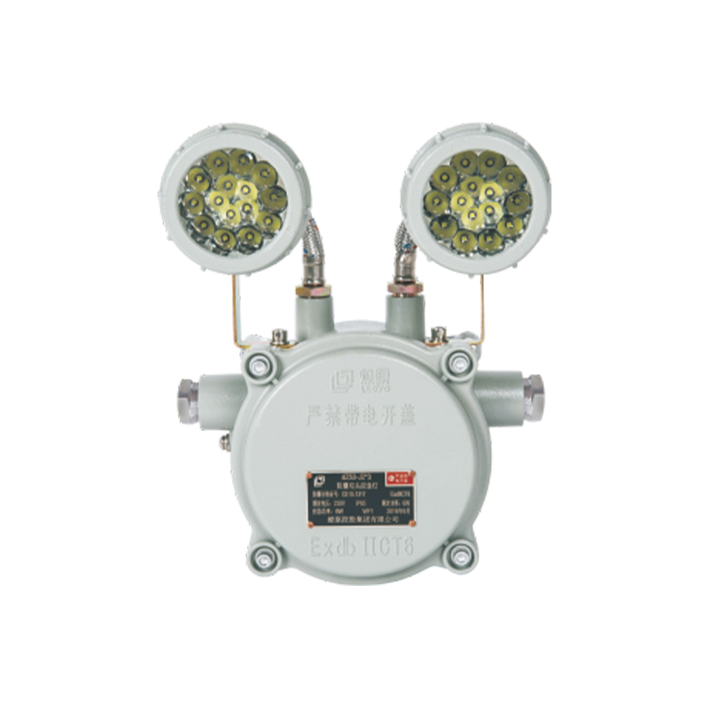DZ53-J2x □□ series explosion-proof (fire) dual head emergency light