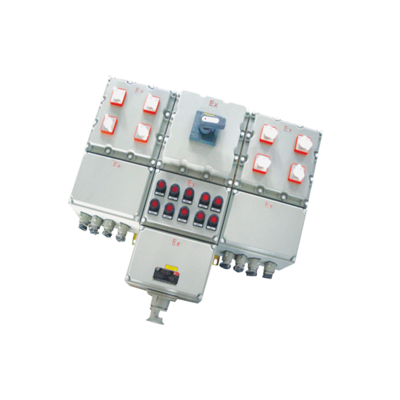 BXX51 series explosion-proof maintenance power box