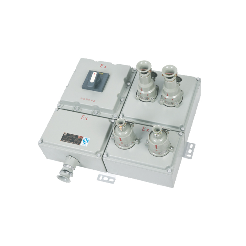 BXC series explosion-proof maintenance power socket box